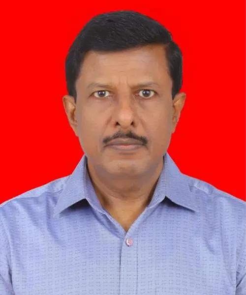 Experienced faculty member guiding students in classroom